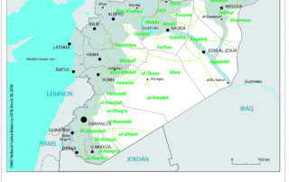 The Arab tribes in Syria