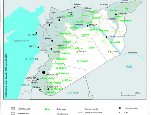 Arab tribes in North Eastern Syria are not loyal to the AANES